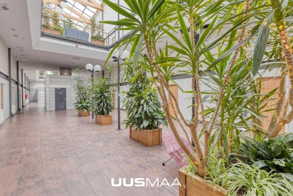 Charming Loft Near Old Town Leilighet Tallinn Eksteriør bilde